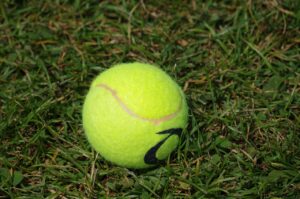 Tennispallo ruohikolla.