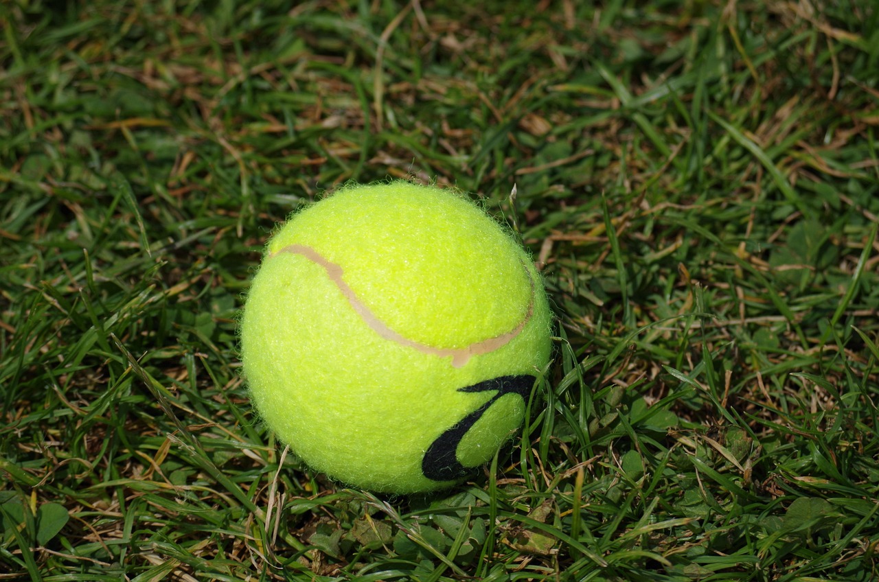 Tennispallo ruohikolla.
